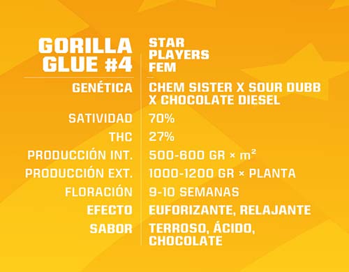 Gorilla-Glue-feminisierte-Cannabis-Samen-Produktbeschreibung-Sensoryseeds-Shop Gorilla Glue feminisierte Cannabis Samen Produktbeschreibung aus dem Sensoryseeds Shop