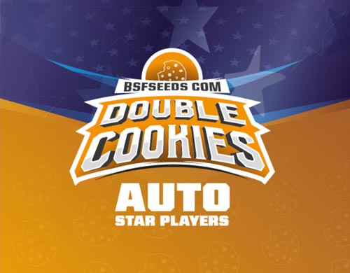 Logo-Double-Cookies-auto-Cannabis-Samen-BSF-bestellen Logo von Double Cookies um auto Cannabis Samen BSF bestellen