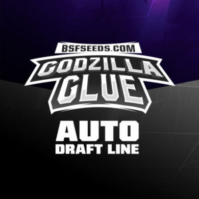 Logo von Godzilla Glue um auto Cannabis Samen BSF bestellen