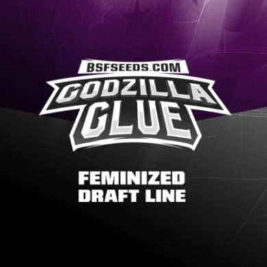 Logo von Godzilla Glue um feminisierte Cannabis Samen BSF bestellen
