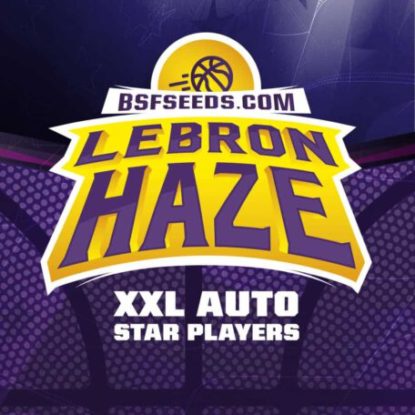 Logo-Lebron-Haze-auto-Cannabis-Samen-BSF-bestellen Logo von Lebron Haze um auto Cannabis Samen BSF bestellen