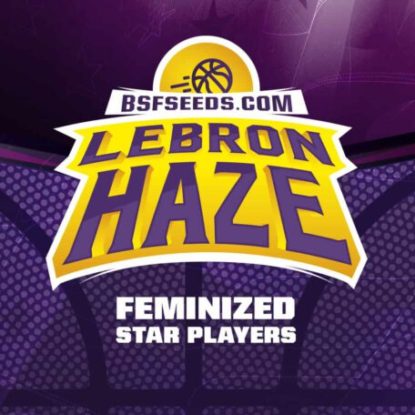 Logo-Lebron-Haze-feminisierte-Cannabis-Samen-BSF-bestellen Logo von Lebron Haze um feminisierte Cannabis Samen BSF bestellen