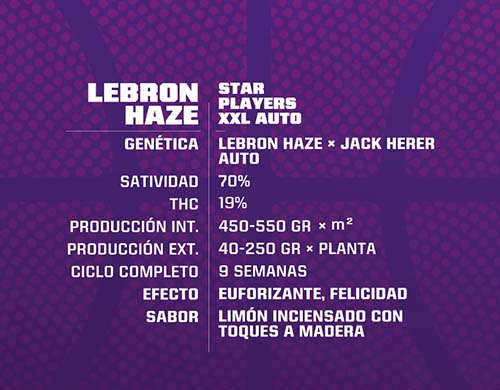 SensorySeeds-Beschreibung-Autoflowering-Lebron-Haze-Cannabissamen-BSF-Packung SensorySeeds Beschreibung der autoflowering Lebron Haze Cannabissamen BSF Packung