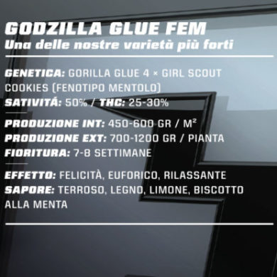 Titelbild von Godzilla Glue