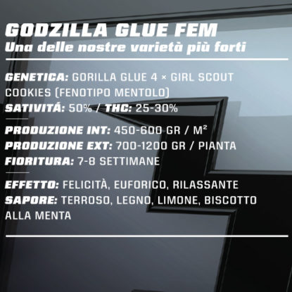 Titelbild-Godzilla-Glue-Produktbeschreibung-Cannabis-Samen-feminisierte-BSF-bestellen Titelbild von Godzilla Glue Produktbeschreibung um Cannabis Samen feminisierte BSF bestellen
