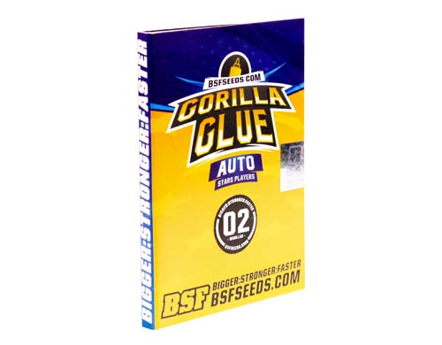 gorilla-glue-auto-paket SensorySeeds Autoflowering Gorilla Glue Semen Paket