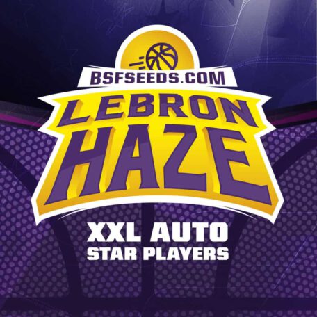 lebron-haze-auto-cannabis-samen-kaufen lebron-haze-auto-cannabis-samen-kaufen