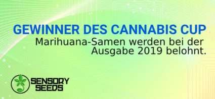 GEWINNER DES CANNABIS CUP