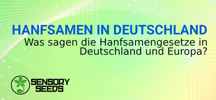 HANFSAMEN IN DEUTSCHLAND