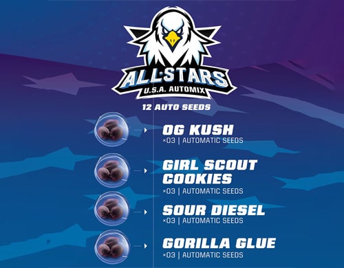 All-Star-Usa-Automix-Cannabis-Samen-Produktbeschreibung-Sensoryseeds-Shop All Star Usa Automix Cannabis Samen Produktbeschreibung aus dem Sensoryseeds Shop