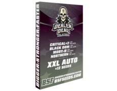 Kit mit auto Cannabissamen Dealer Deal XXL Automix von Sensoryseeds Shop