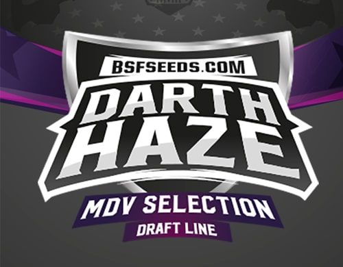 Logo von Darth Haze um feminisierte Cannabis Samen BSF bestellen