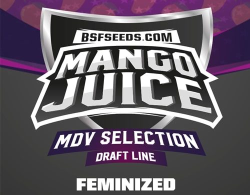Logo von Mango Juice um feminisierte Cannabis Samen BSF bestellen