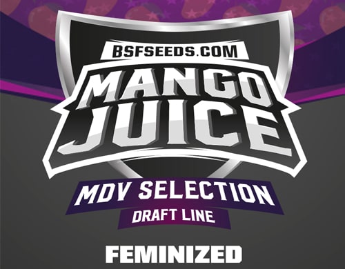 Logo-Mango-Juice-feminisierte-Cannabis-Samen-BSF-bestellen Logo von Mango Juice um feminisierte Cannabis Samen BSF bestellen