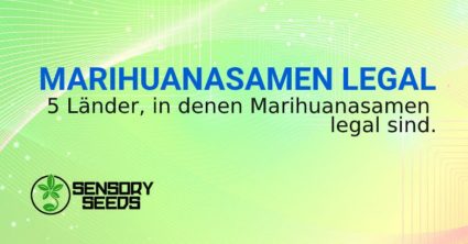 MARIHUANASAMEN LEGAL