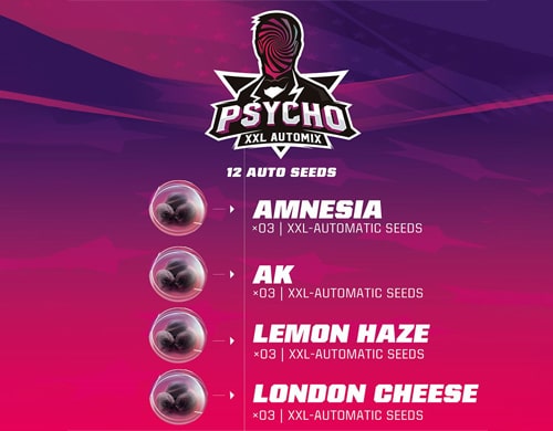 PsychoXXL-Automix-Cannabis-Samen-Produktbeschreibung-Sensoryseeds-Shop PsychoXXL Automix Cannabis Samen Produktbeschreibung aus dem Sensoryseeds Shop