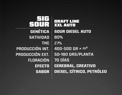 Sig Sour XXL Cannabis Samen autoflowering Produktbeschreibung aus dem Sensoryseeds Shop