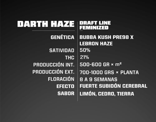 Titelbild-Darth-Haze-Produktbeschreibung-feminisierte-Cannabis-Samen-BSF-bestellen Titelbild von Darth Haze Produktbeschreibung um Cannabis Samen feminisierte BSF bestellen