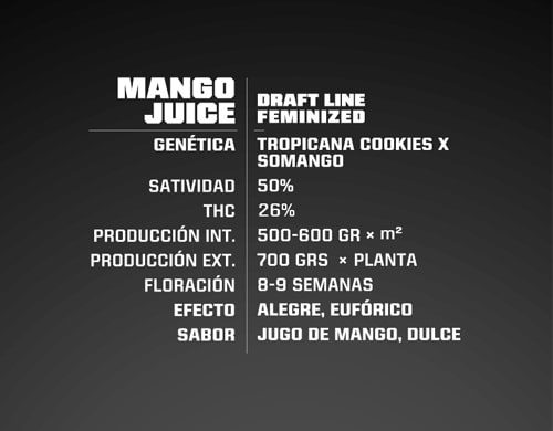 Titelbild von Mango Juice Produktbeschreibung um Cannabis Samen feminisierte BSF bestellen