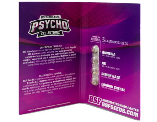 Titelbild-PsychoXXL-Automix-Produktbeschreibung-autoflowering-Cannabis-Samen-BSF-Informationen Titelbild von Psycho XXL Automix Produktbeschreibung mit autoflowering Cannabis Samen BSF Informationen