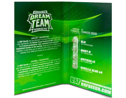 dream-team-autoflowering samen-kit