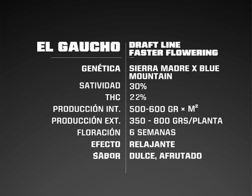 el-gaucho-info-sensory