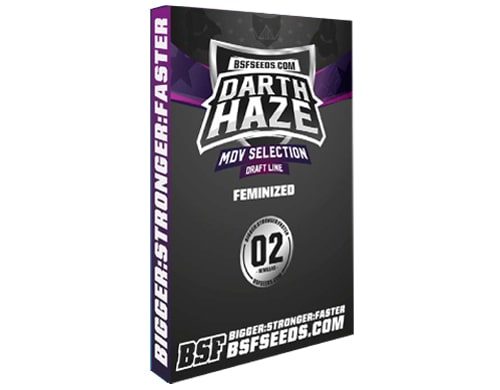 feminisierte Cannabissamen Darth Haze von Sensoryseeds Shop