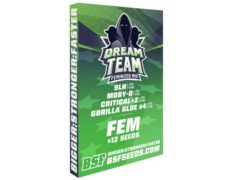 Cannabissamen-Kit Dream Team Feminized Mix von Sensoryseeds Shop