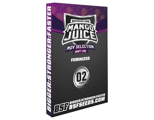 feminisierte Cannabissamen Mango Juice von Sensoryseeds