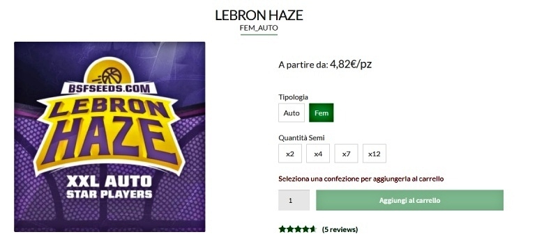 lebron haze hanfsamen