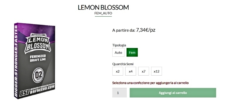 lemon blossom marihuanasamen