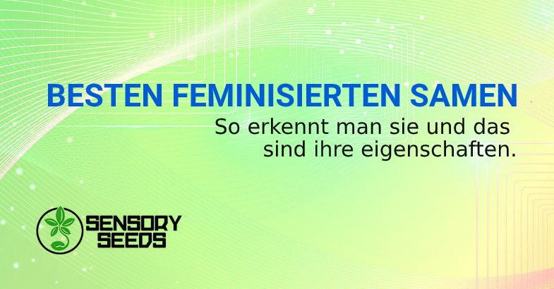 BESTEN FEMINISIERTEN MARIHUANA SAMEN