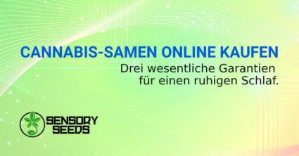 CANNABIS SAMEN ONLINE KAUFEN