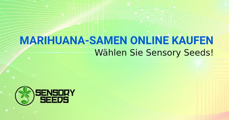 Sichere Webseiten um Samen zu kaufen