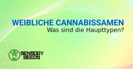 WEIBLICHE CANNABISSAMEN