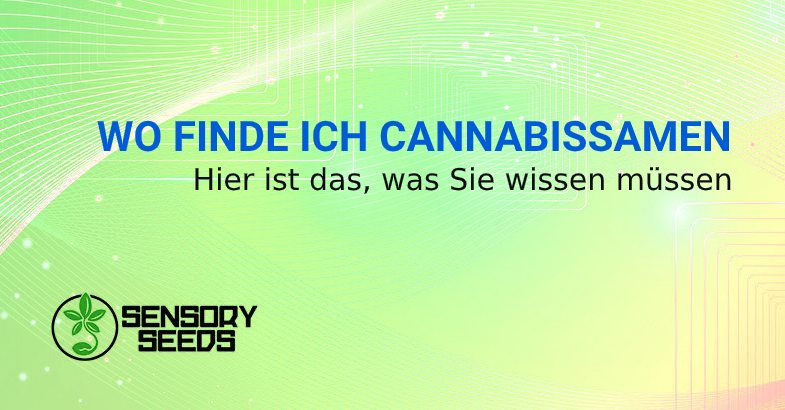 Wo finde ich Cannabissamen