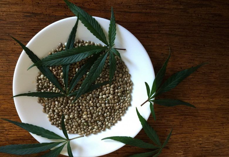 feminisierte Cannabis Samen Outdoor 