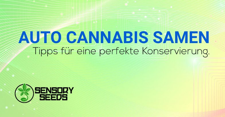 Selbstblühende Cannabissamen Konservierung