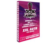 Cannabissamen-Kit Psycho XXL Automix auf Sensoryseeds bestellen