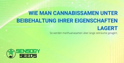 Wie man Cannabissamen unter Beibehaltung ihrer Eigenschaften lagert