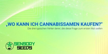 Die drei typischen Fehler derer, die zum ersten Mal fragen: „Wo kann ich Cannabissamen kaufen?"