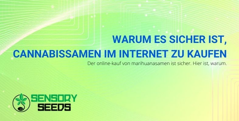 Warum es sicher ist, Cannabissamen im Internet zu kaufen