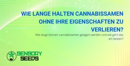 Wie lange halten Cannabissamen ohne ihre Eigenschaften zu verlieren?