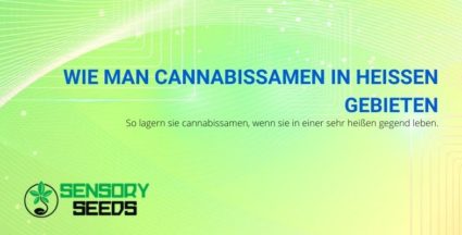 Wie man Cannabissamen in heißen Gebieten lagert