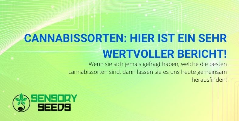 Sehr wertvoller Bericht über Cannabis-Sorten