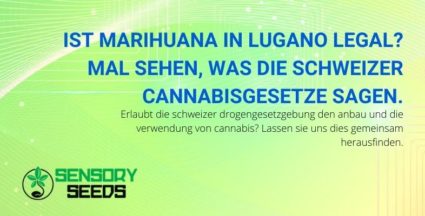 Können Sie nach schweizerischem Recht Cannabis in Lugano legal verwenden?