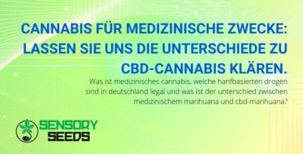 Die Unterschiede zwischen medizinischem Cannabis und CBD-Cannabis