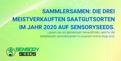 Die drei besten Samen Sensoryseeds wurden 2020 verkauft