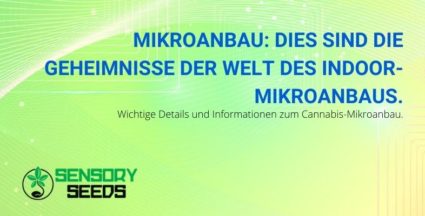 Hier sind die Geheimnisse der Welt der Indoor-Mikrokultur