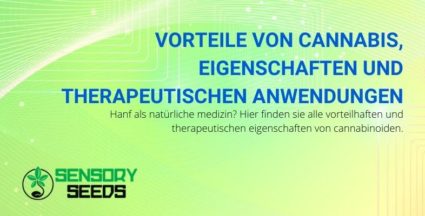 Cannabis: Vorteile, therapeutische Anwendungen und Eigenschaften.